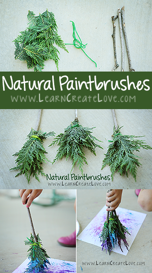 Paintbrushes naturelles, LearnCreateLove