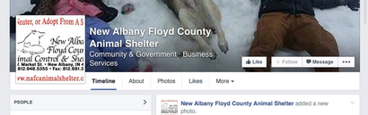 New Albany (Vérifiez les chiens adoptables) New Albany