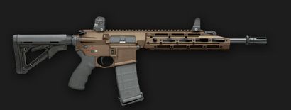Nouveau de Remington Défense R5 RGP gaz à piston AR-15 - La vérité sur les armes à feu