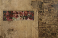 Nouvelles - Margriet Smulders (Langendijksestraat 4715 Rucphen) Nouvelles - Margriet Smulders