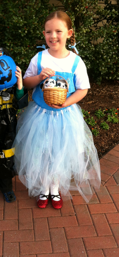 No-Sew Dorothy Halloween Costume (sans couture) No-Sew Dorothy Halloween Costume