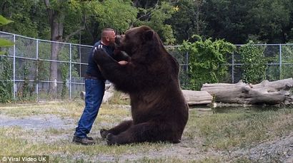 Maintenant, c'est une étreinte d'ours bon! animaux ne peut pas arrêter tactile câlins son meilleur ami humain à la faune