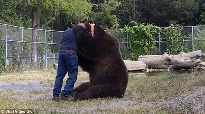 Maintenant, c'est une étreinte d'ours bon! animaux ne peut pas arrêter tactile câlins son meilleur ami humain à la faune