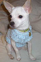 Off the Loom Knifty Knitter Chihuahua ou petit chien Instructions de chandail