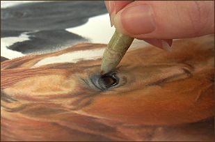 Peinture à l'huile de pastel - Conseils & amp; Les techniques utilisant pastels d'huile