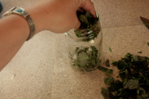 Old School - Self Reliance 101 - Blog Archive - huile de menthe poivrée maison (la demoiselle en robe dis) Old School - Self Reliance 101 - Blog Archive - huile de menthe poivrée maison