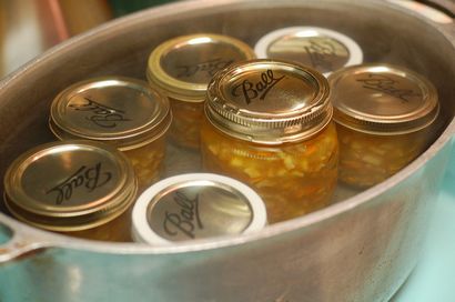 Orange-Ginger Marmalade - nourriture dans des bocaux (pots) Orange-Ginger Marmalade - Alimentation en Jars