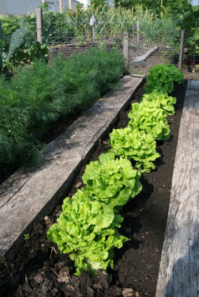 Bio-Garten Bodennutzung Organic Compost mehr