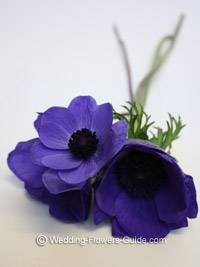 Nos fleurs mariage le bleu (Fleurs de mariage bleu) Coup de coeur bleu Fleurs de mariage
