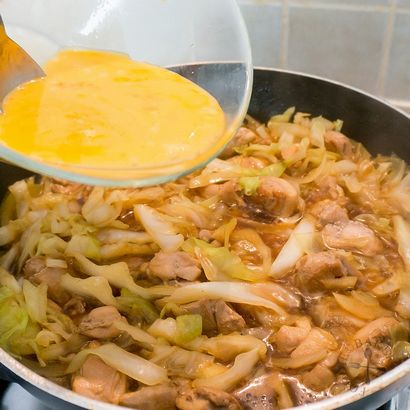 Oyakodon (Huhn und Ei Rice Bowl)