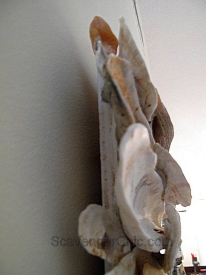 Oyster Shell Spiegel diy - Scavenger Chic