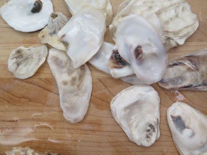 Oyster Shell Fliesen 9 Steps (mit Bildern)