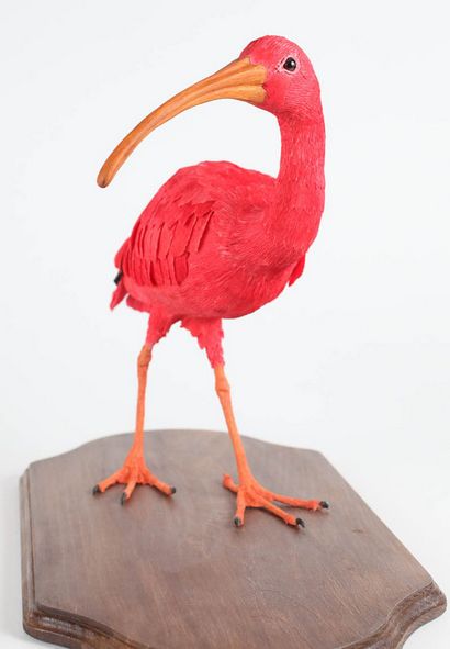 art du papier - Sculpture - Vegan Taxidermie - L'art des oiseaux en papier