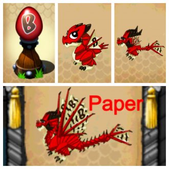 Papier Drachen, DragonVale Zucht Führer