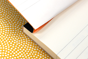 Carnets de papier (Expliqué __gVirt_NP_NNS_NNPS<__ ordinateurs portables) Papier Cahiers Expliqué