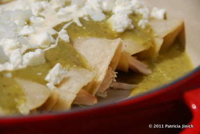 Pati Jinich - Enchiladas Verdes in einer Tomatillosauce