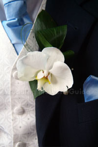 Orchidée Phalaenopsis Fleurs de mariage (mariage) Orchidée Phalaenopsis Fleurs de mariage