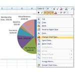 Pie Pie Charts in Excel 2007 Wie Break Out Kleine Gruppen von Daten oder geringe Anteile