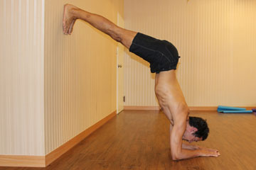 pincha Mayurasana