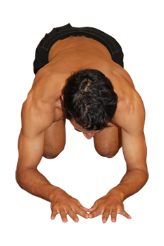 pincha Mayurasana