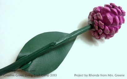 Pinecone Roses von Rhonda an Frau