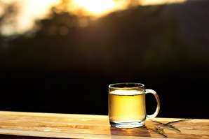 Kiefer-Nadel-Tee natürliche Quelle von Vitamin C, Futter sucht für Wild Edibles