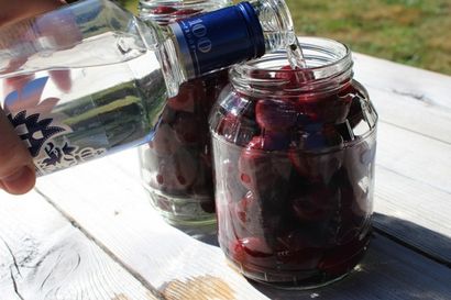 La conservation des fruits dans l'alcool Faire vos propres Liqueurs
