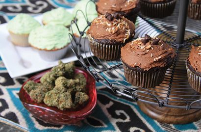 Psychedelicatessen Cannabis Cupcake Madness - High Times