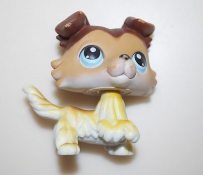 Rare Littlest Pet Shop Hohe Werte, MissBargainHuntress