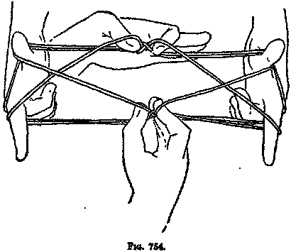 Cat Real-Cradle (String Figure Notation) Cradle Real Cat