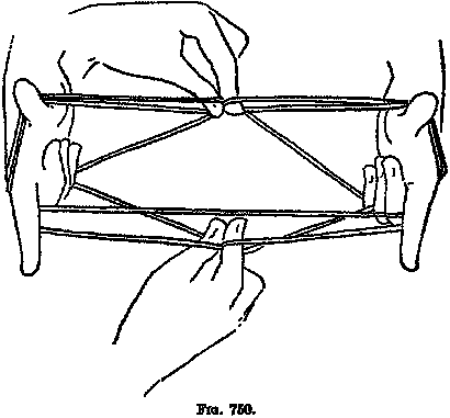 Cradle Real Cat