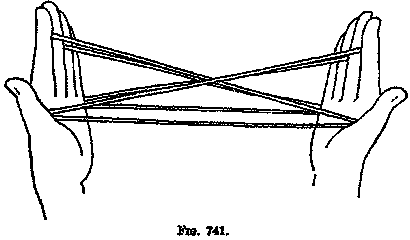 Cradle Real Cat