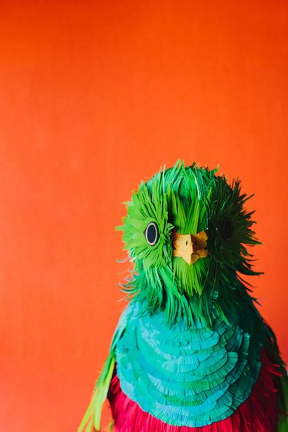 Sculptures de papier d'oiseaux réalistes par Diana Beltran Herrera, Yatzer