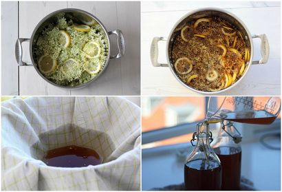 Recette pour le jus de sureau maison (recette) Recette pour le jus de sureau maison