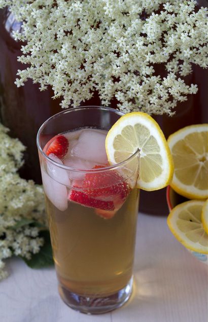 Recette pour le jus de sureau maison (recette) Recette pour le jus de sureau maison