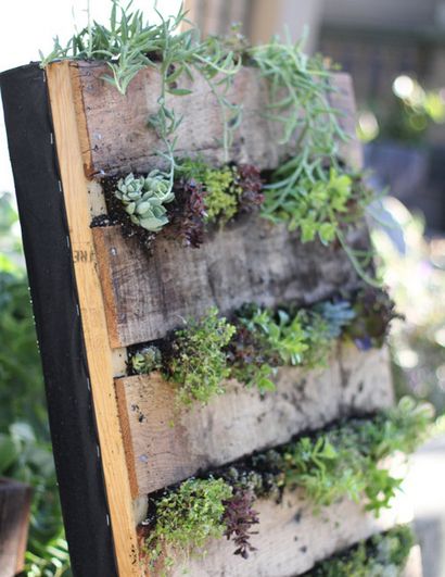 Recycled Pallet Vertikale Garten - DesignSponge