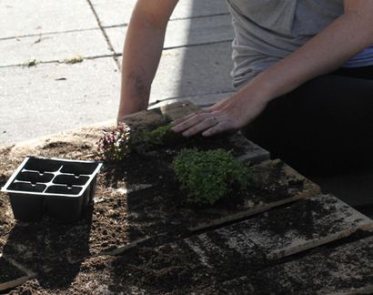 Recycled Pallet Vertikale Garten - DesignSponge