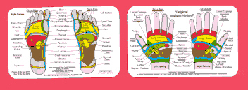 Réflexologie cartes et livres à vendre - Institut international de Réflexologie - réflexologues FL