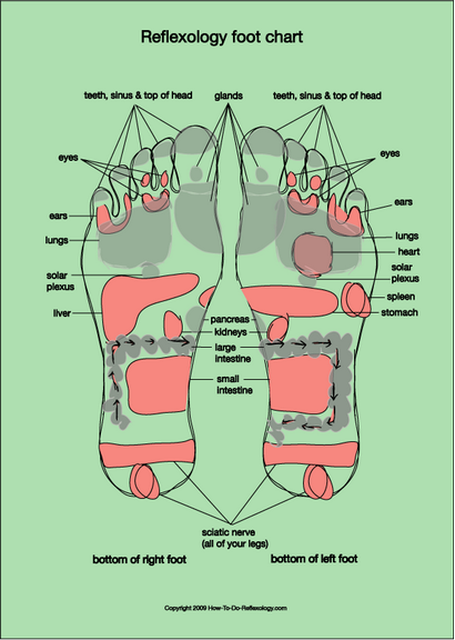 Réflexologie Plantaire Carte, diagrammes & amp; Graphiques, y compris des instructions étape par étape