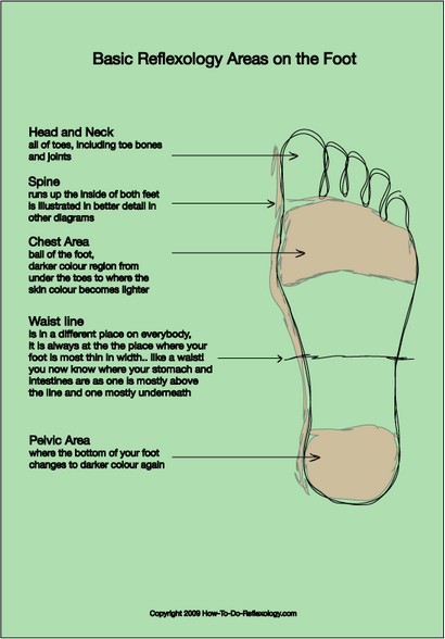 Fußreflexzonenmassage Karte, Diagramme & amp; Chart einschließlich Anweisungen Schritt für Schritt