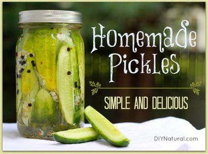 Réfrigérateur Pickles Apprenez à Pickle Concombres la simple fond vers