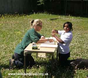 Ressourcen für Kinder, Bedfordshire Bat-Gruppe