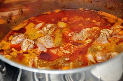 Review - Produit Speedy Curry de poulet malaisien (ft (rapide) Review - Produit Speedy Curry de poulet malaisien (ft