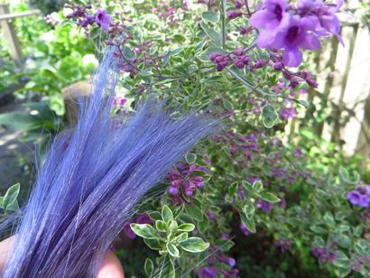 Ride or Dye bricolage lavande Ombre cheveux - La rue Kat (comment faire des cheveux lavande hombre) Ride or Dye bricolage lavande Ombre cheveux - La rue Kat