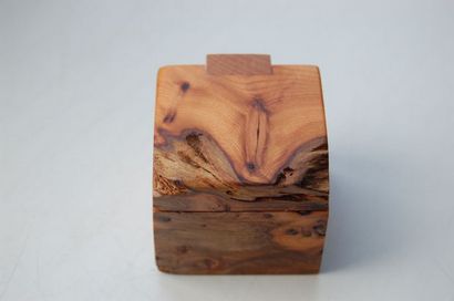 Ring-Kasten mit Holz-Dreh 6 Schritten (mit Bildern)