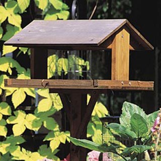 Robin - ses amis - oiseaux sauvages compagnie alimentaire - Comment Maks une table d'oiseaux (robin) Robin - ses amis - oiseaux sauvages compagnie alimentaire - Comment maks une table d'oiseaux