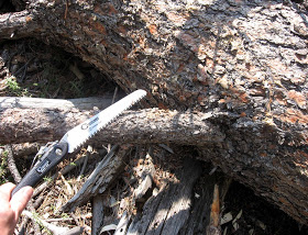Rocky Mountain Bushcraft survie en milieu sauvage Comment faire une flamme Pine Knot pour la lumière d'urgence