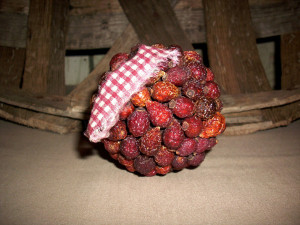 Églantier, recettes de la sauvage (rose) Églantier, Recettes de la sauvage
