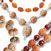 Rudraksha Perlen aus Nepal und Indonesien