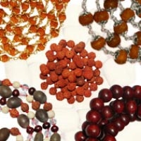 Rudraksha Perlen aus Nepal und Indonesien